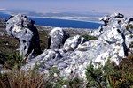 Kapstadt: Wanderung auf dem Tafelberg